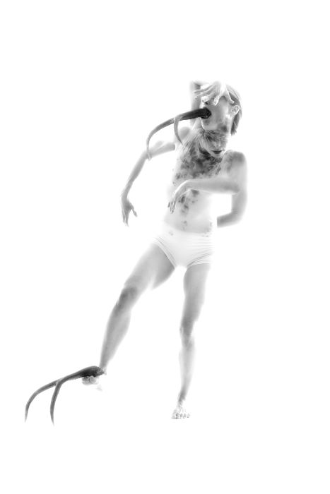 Creature half-bird half-woman
