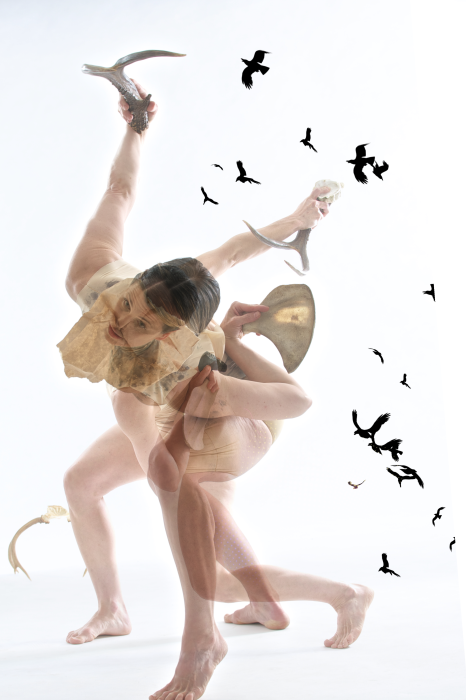 photo of spiralling figures with bird flock