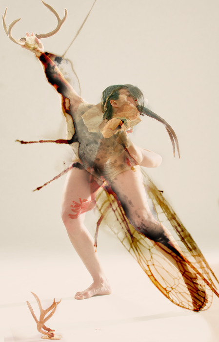 Creature half-insect half-woman