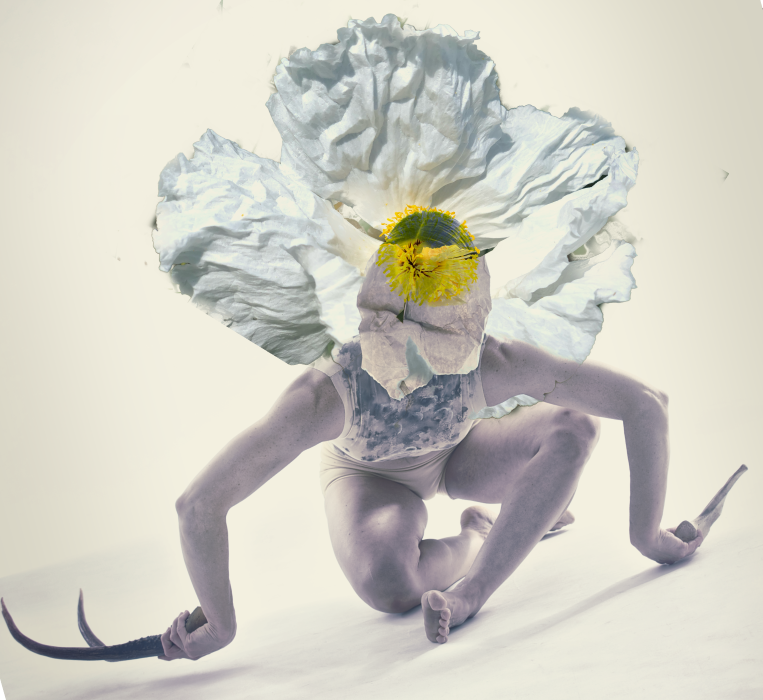 Creature with flower head