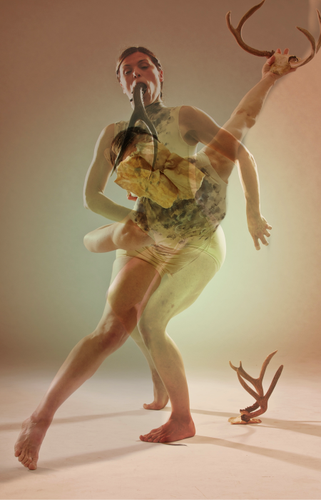 multiple antlers creature